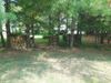 82 Wood Dr photo